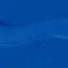 Sea-ze the Day