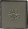 244 Eucalyptus leaf